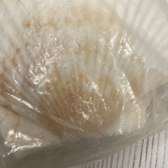 Vintage Natural Shell Serving Dishes Ovenproof & Shell Picks Set of 4 Never Used - Picture 10 of 11